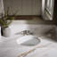 Artifacts 21-1/4 In. Oval Undermount Bathroom Sink
