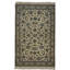 Plamedi Oriental Area Rug in Beige