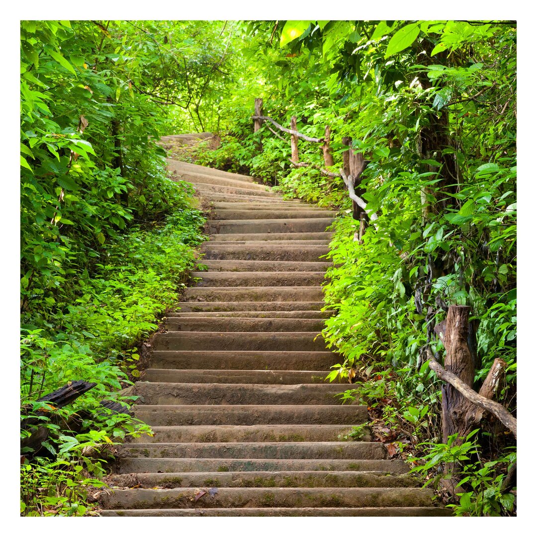 Strukturierte Tapete Stairs in the Forest 1,92 m x 192 cm