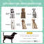 Elevated Dog Bed Cooling Raised Pet Cot-320072014-320072013