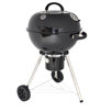 Holzkohlegrill