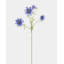 Real Touch White Cosmos 29”-1744923473