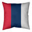 Coussin Washington-811195739-909693017-909693018