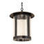Fulton 1 - Light Pendant