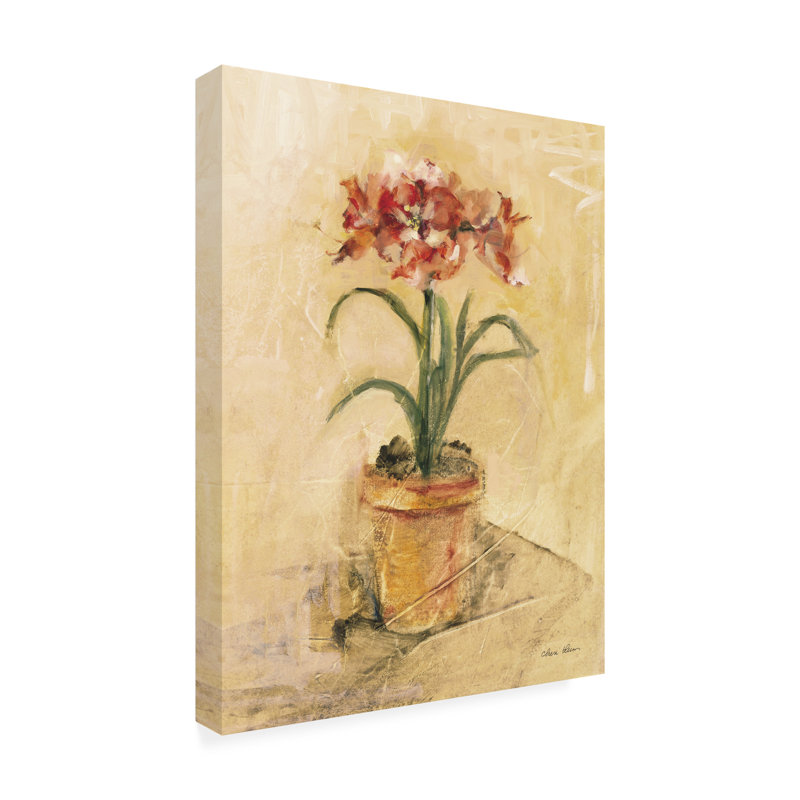 Art sur toile «Bolari Cheri Blum Secret Amaryllis I», H 19 po x l 14 po