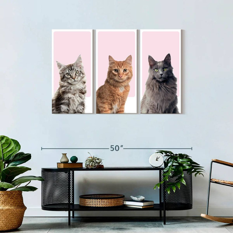 " Cat Breed Colors " 3 - Pieces, 28" H x 45" W x 1.25" D