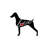 Doberman Undocked by Traci Anderson - Wrapped Canvas Gallery-Wrapped Canvas Giclée-1977577376