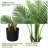 Artificial Palm Tree With 15 Trunks- Fake Palm Tree Fake Tropical Paradise Palm Tree-111312806