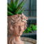 Pot à fleurs à tête brune 8 x 9 x 11,5 po, pot à tête de ciment de style grec - Décor intérieur / extérieur pour le jardin