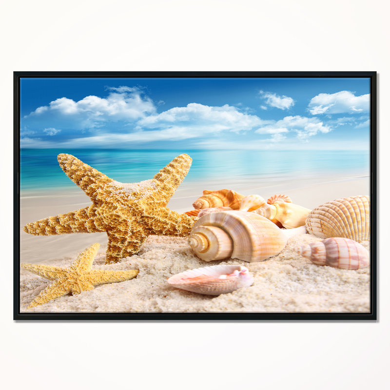 «Starfish and Seashells on Beach», photographie, H 16 po x l 32 po x P 1 po, Cadre flottant