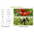 Kymari Galvanized Raised Garden Bed, Multiple Sizes to Choose, Plant Supports Offered-2064205531-2050934418-2050066518