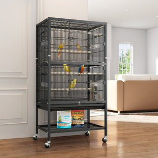 Hanging Bird Cages You'll Love - Wayfair Canada