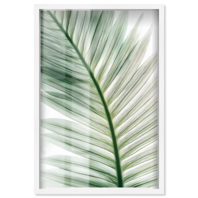 Forest Coast I, Shadowbox, impression d'art mural côtier par Art Remedy, cadre blanc, 31 x 46