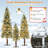 5' Lighted Pine Christmas Tree