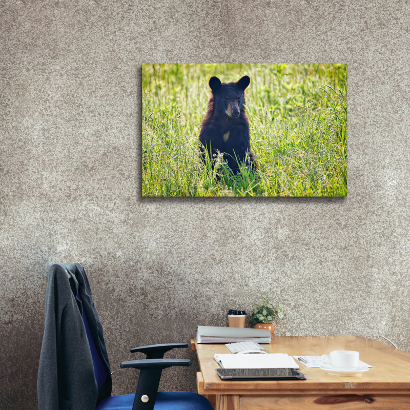 Toile épique «Black Bear Cub In The Sun» par Rick Berk