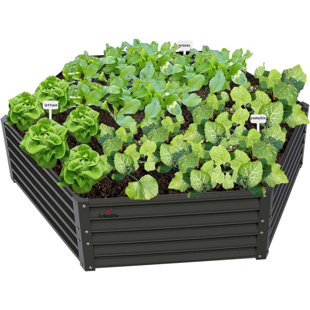 Metal Hexagon Raised Garden Bed Planter Box For Planting Vegetables Flowers (70 In. L X 60 In. W X 18 In. H)