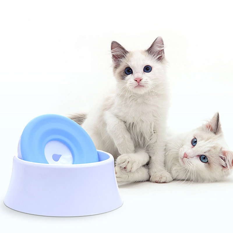 Blue and White Anti-Spill Floating Pet Water and Food Bowl