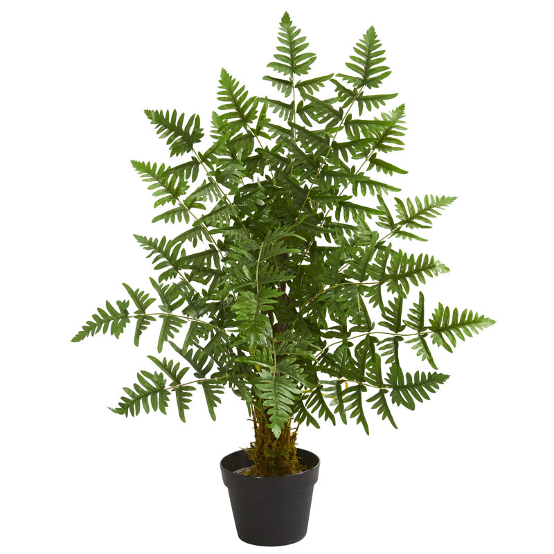 Fougère artificielle 30,5 "en pot