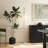 170.5cm Powder Coated Floor Lamp