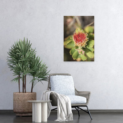 Contemporary Art Vibrant Contemporary Flower Nature Art by Shot By Clint - Wrapped Canvas Print