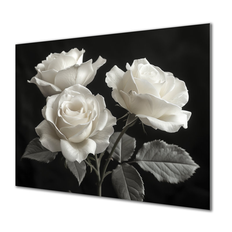 Monochromes en noir et blanc Roses Bloom II - Roses, art mural, Métal métal, 24" H x 32" W