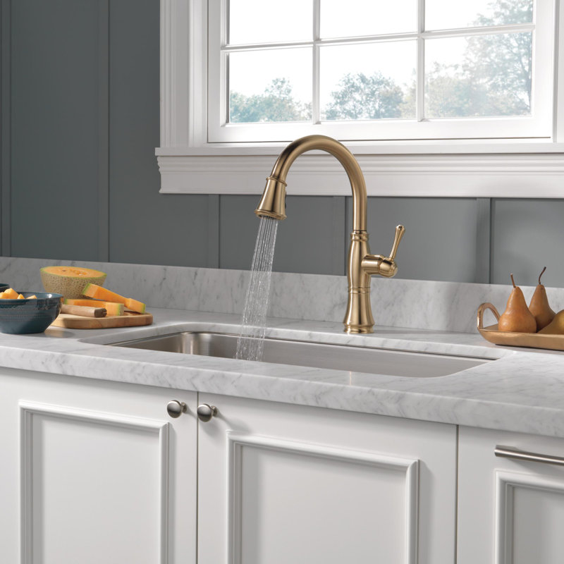 Robinet d'évier de cuisine à poignée simple avec bec pulvérisateur rétractable Cassidy™, Bronze-Champagne lustré