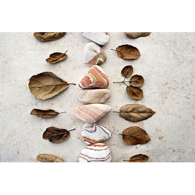 Gifts of the Earth V 1 Piece Wrapped Canvas Wall Art