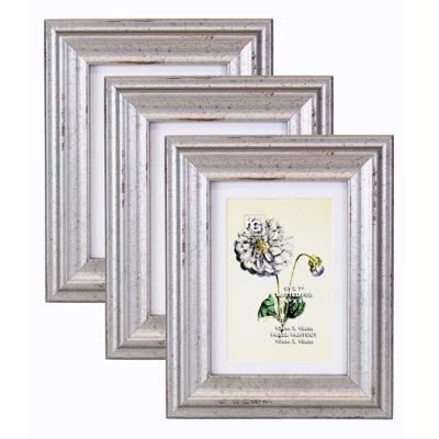 Ensemble de 3 cadres muraux Ashlynn en argent / blanc