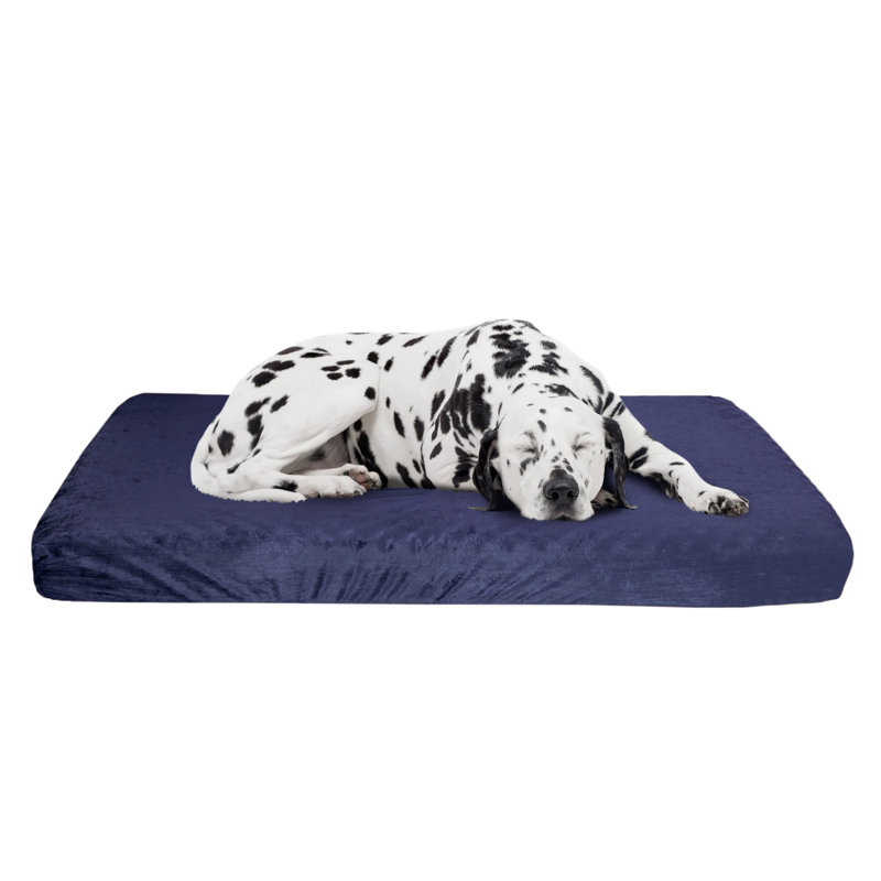 Lit pour chien orthopédique à 2 couches PETMAker, Grand (l 27 po x P 46 po x H 4 po), Bleu marine