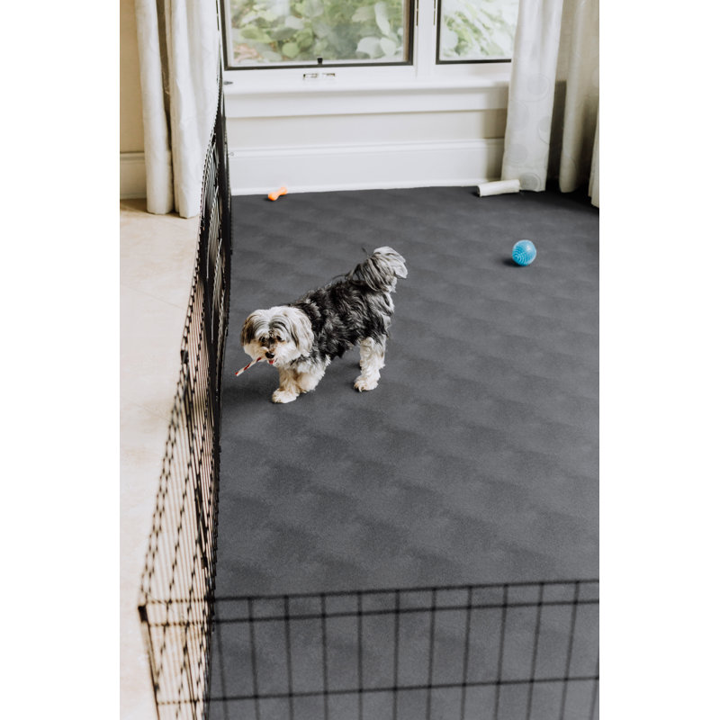 Protecteur de plancher pour animaux Levant, Gris ardoise, L 102 po x P 264 po