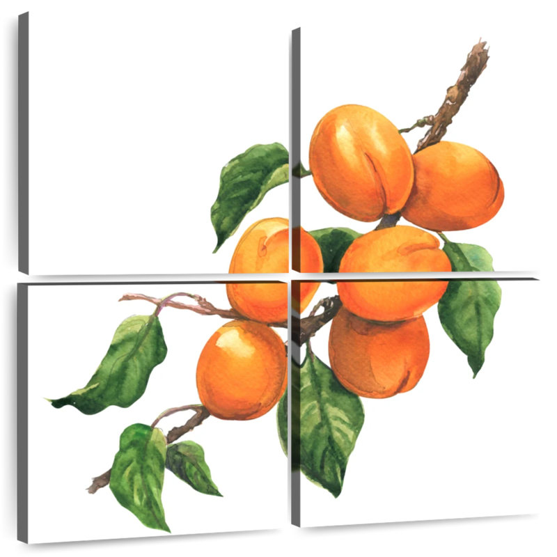 Abricots mûres Yarlin