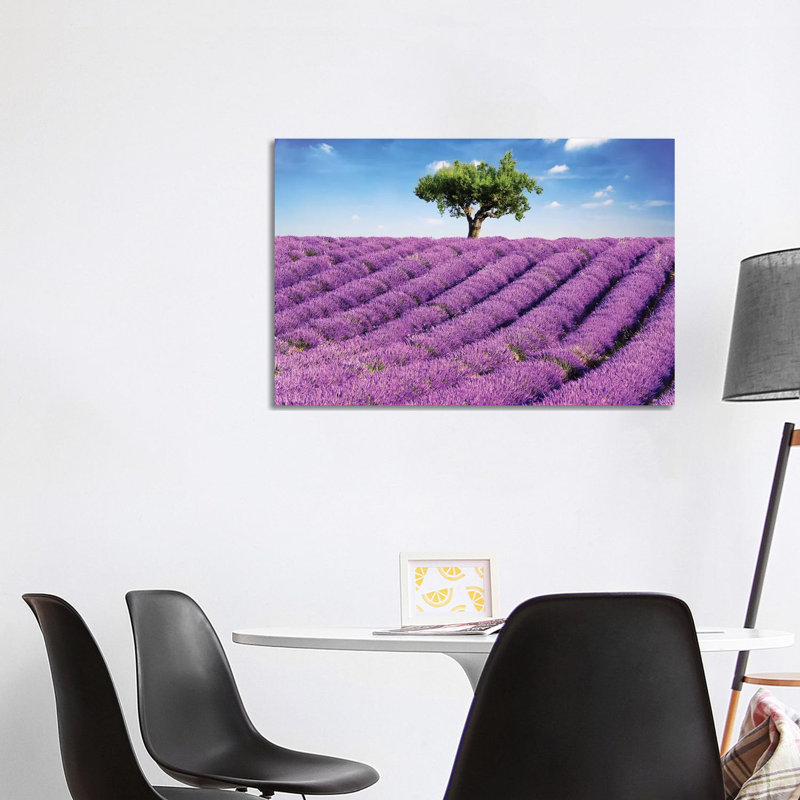 Lavender Field And Tree, Provence by Matteo Colombo - Wrapped Canvas Print, 101.6 cm H x 66.04 cm W x 1.91 cm D