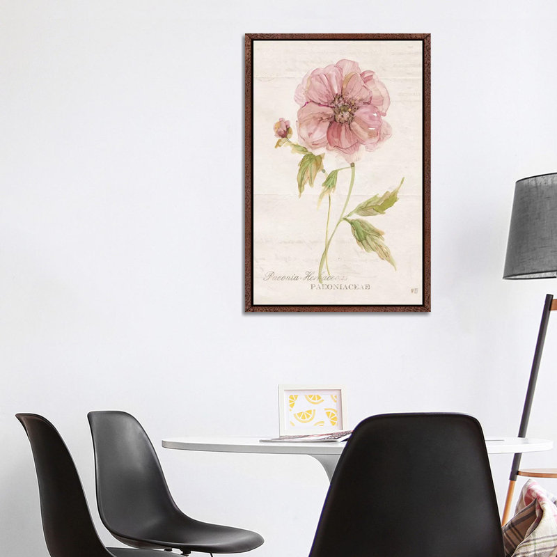 Soft Peony by Carol Robinson - Painting on Canvas, 101.6 cm H x 66.04 cm W, Classic Brown Wood Framed