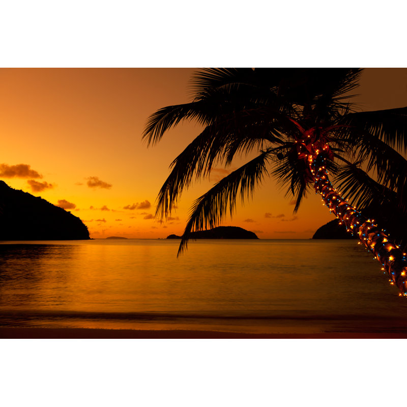 Christmas Lights On Palm Tree by Cdwheatley - No Frame Art Prints on Canvas, 61cm H x 91cm W