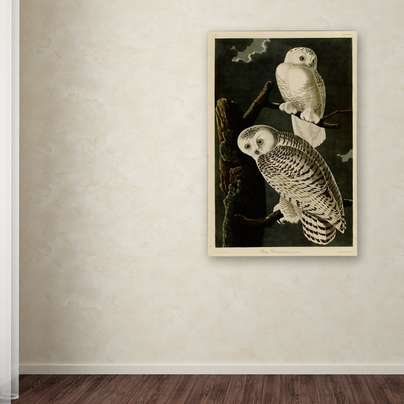 "snowy hibou" par john audubon, reproduction sur toile tendue, H 19 po x l 12 po x P 2 po