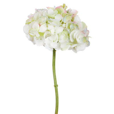 Hydrangea Floral Stems