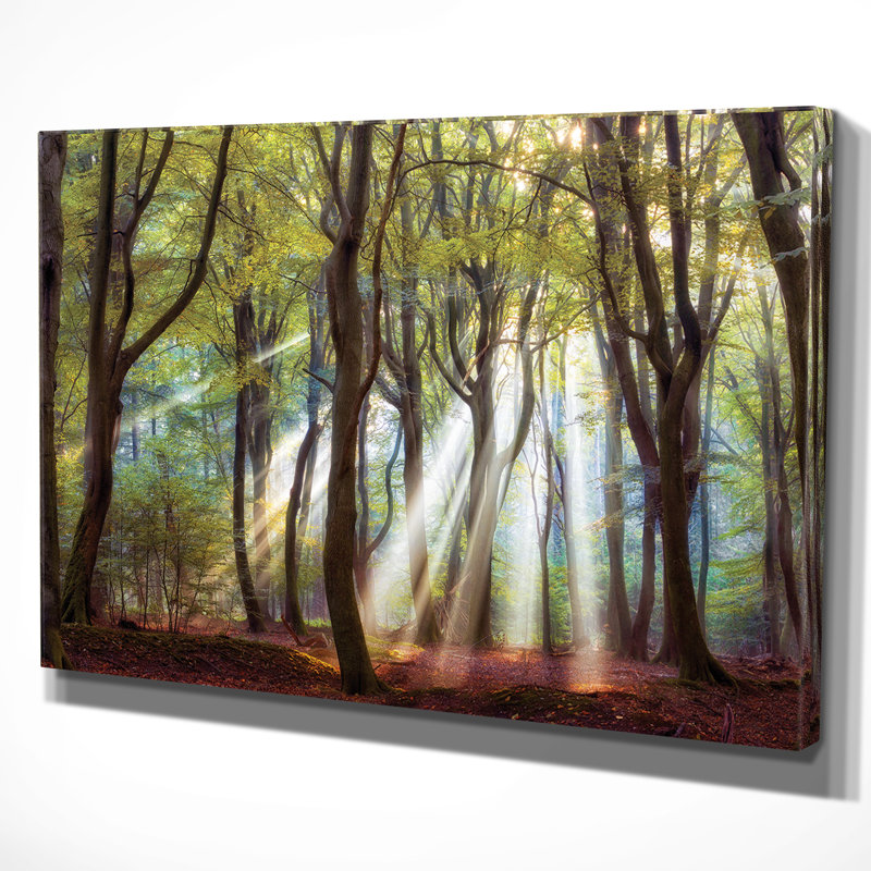 Majestic Morning - impression, H 24 po x l 36 po x P 1,5 po, Toile tendue