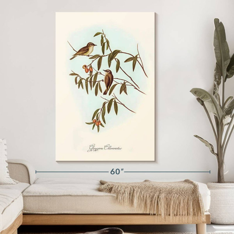 Gerygone Chloronotus, 51" H x 34" W