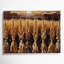 Art mural sur toile brun, "Thanksgiving Harvest"-2103773340