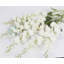 Décoration de fête Delphinium-4523177
