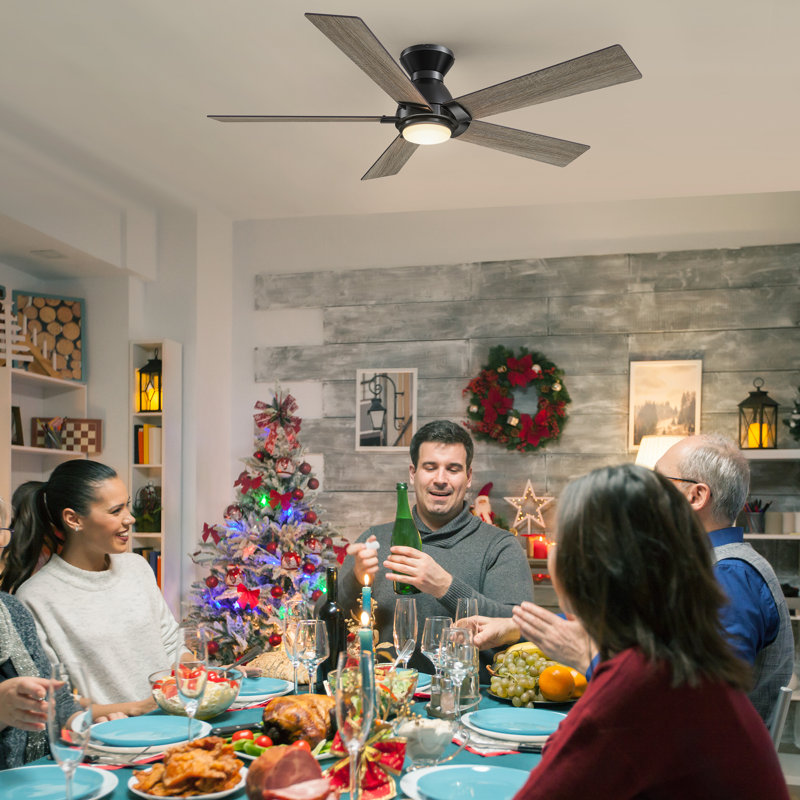 48'' 5 - Blade  Smart  Ceiling Fan with Light, Black