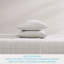 Ensemble de draps en coton percale Tommy Bahama-123703115-88500294
