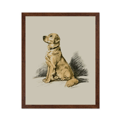 Labrador Retriever No1
