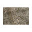 Chantel Oriental Area Rug
