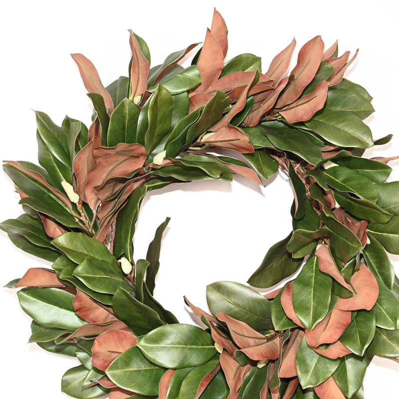 Couronne de porte de 26 po à motif de fleurs de magnolia