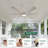 60/72 Inch 6-blade Modern Solid Wood Ceiling Fan With Light And Remote, High Cfm Large Airflow Ceiling Fan, Quiet Reversible Dc Motor, Indoor Outdoor Fan For Porch Gazebo Living Room Kitchen Garage-1099215068-1087993828-1089093833