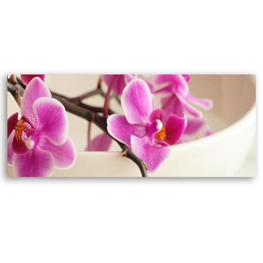 Leinwandbild Pink Orchid