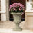 Planters-1744873924
