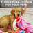 Zulay Kitchen Donut Throw Blanket with Donut Box Gift Packaging-107156573