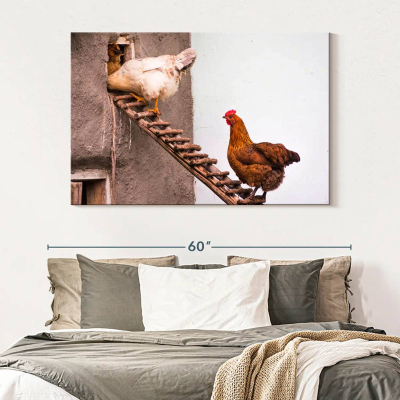 Brampt Chicken Coop, 34" H x 51" W